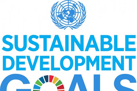 SDGs