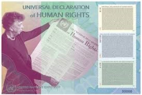 UDHR